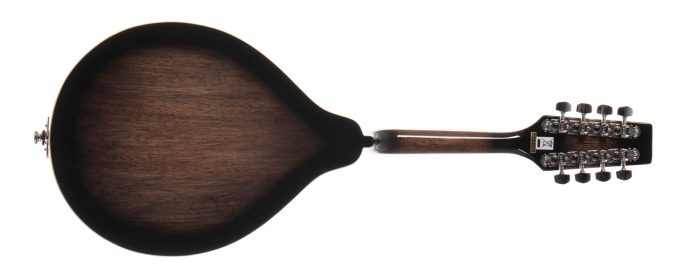 Morgan Mandolin M 20 E Tbk