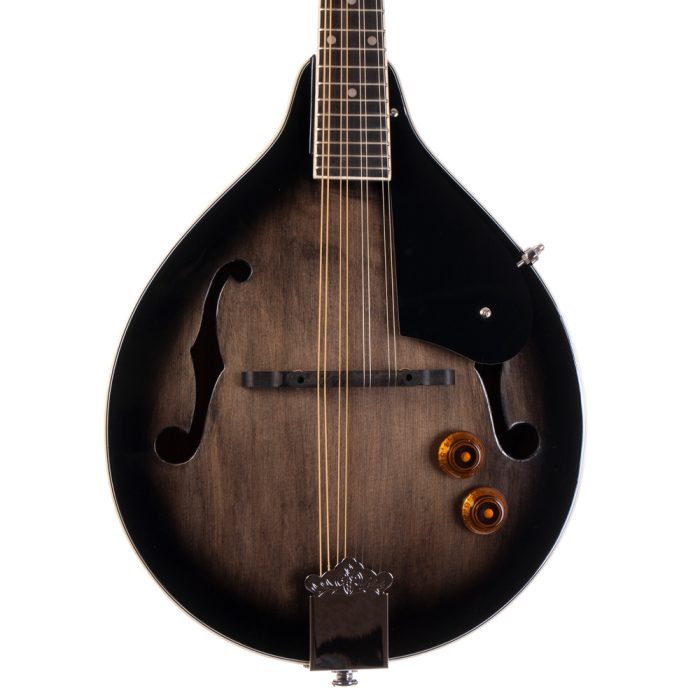 Morgan Mandolin M 20 E Tbk