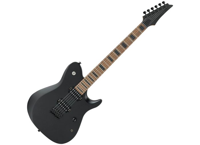 Ibanez FR800-BKF