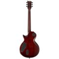 Ltd EC-1001 TEF TIGER EYE