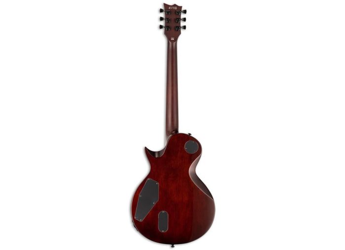 Ltd EC-1001 TEF TIGER EYE