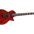 Ltd EC-1001 TEF TIGER EYE