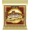 Ernie-Ball EB-2007 EARTHWOOD CUSTOM LIGHT