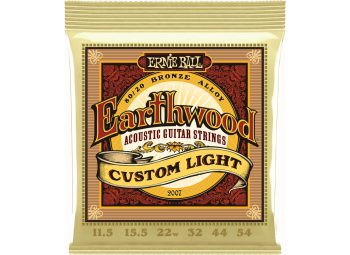Ernie-Ball EB-2007 EARTHWOOD CUSTOM LIGHT
