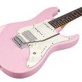 Ibanez AZ2204NW-PPK med hardcase, Prestige AZ Spot