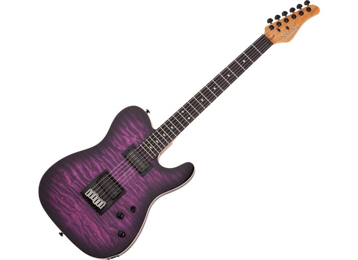 Schecter PT PRO-EBONY TPB