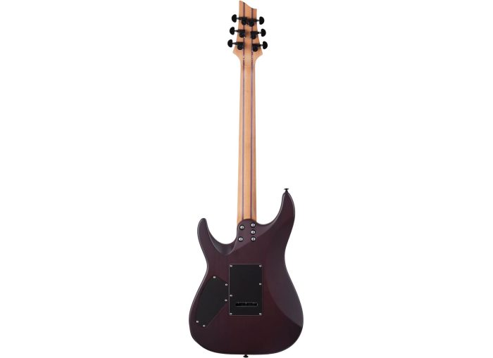 Schecter C-1 EXOTIC TREM  EBONY