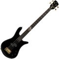 Spector EURO4LXIAN50BK HILL BK