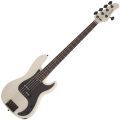 Schecter P-5   IVY