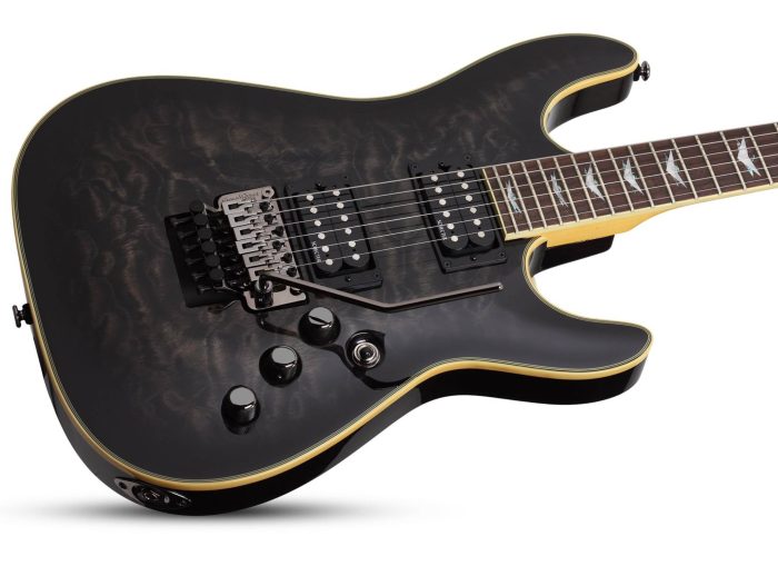 Schecter Omen Extreme Floyd Rose See-Thru Black