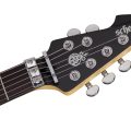 Schecter DJ ASHBA  CBG