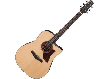 Ibanez AAD170CE-LGS