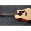 Ibanez AAD170CE-LGS