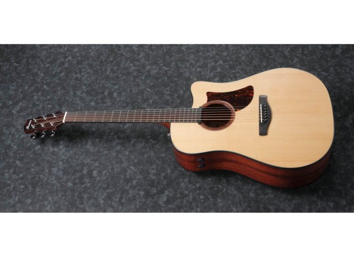 Ibanez AAD170CE-LGS