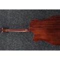 Ibanez AAD170CE-LGS