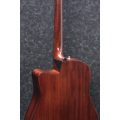 Ibanez AAD170CE-LGS