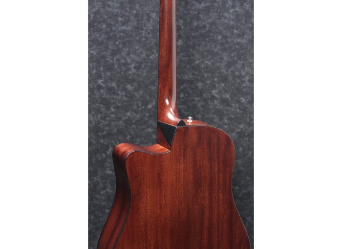 Ibanez AAD170CE-LGS