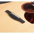 Ibanez AAD170CE-LGS