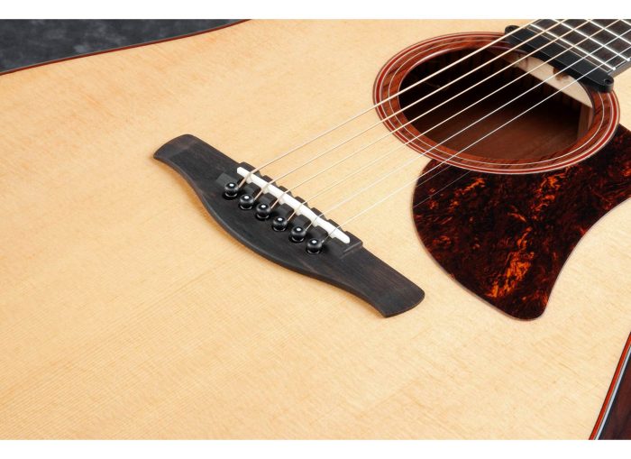 Ibanez AAD170CE-LGS