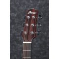 Ibanez AAD170CE-LGS
