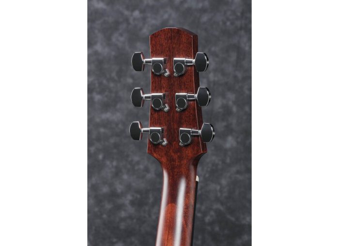 Ibanez AAD170CE-LGS