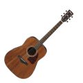 Ibanez AW54-OPN Open Pore Natural