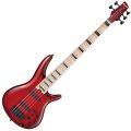 Ibanez ANB205-TWB