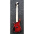 Ibanez ANB205-TWB
