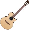 Ibanez AEG50N-NT