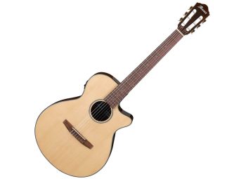 Ibanez AEG50N-NT