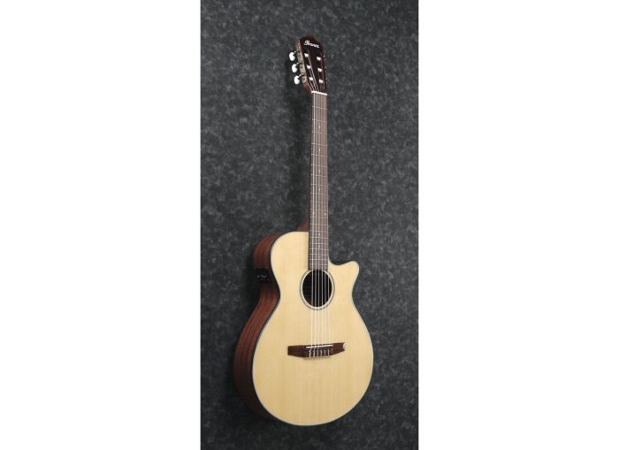 Ibanez AEG50N-NT
