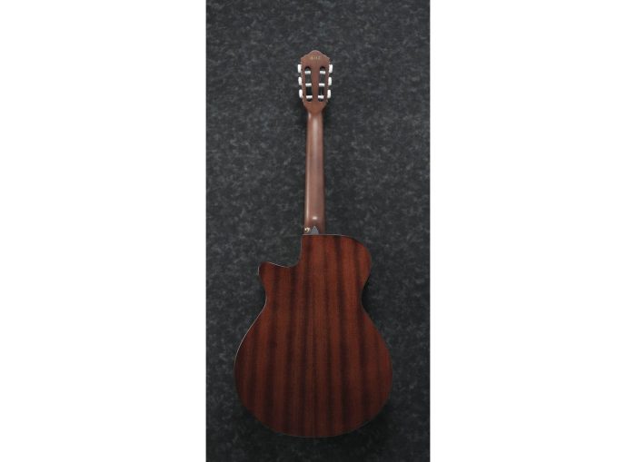 Ibanez AEG50N-NT