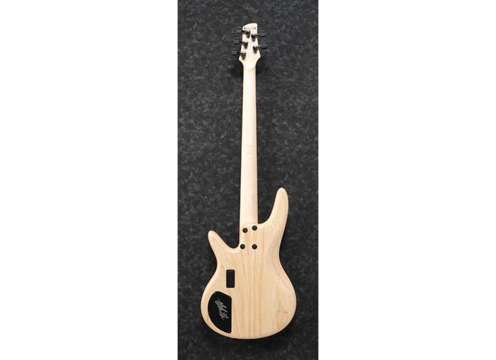 Ibanez GWB1005-NTF