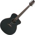 Ibanez JGM10-BSN