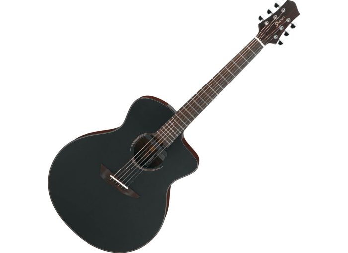 Ibanez JGM10-BSN