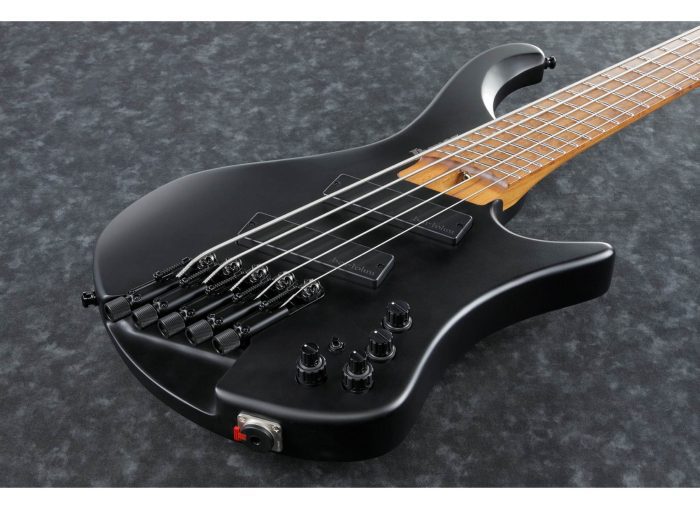 Ibanez EHB1005MS-BKF