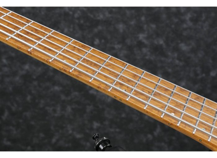 Ibanez EHB1005MS-BKF