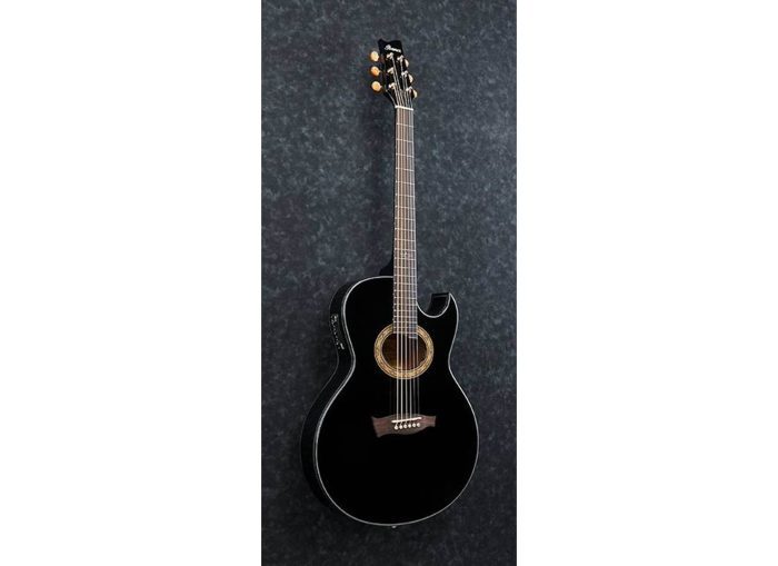 Ibanez EP5-BP