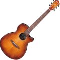 Ibanez AEG70-VVH