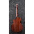 Ibanez AEG70-VVH