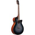 Ibanez AEG50-IBH