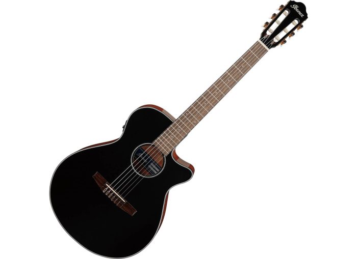 Ibanez AEG50N-BKH