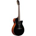 Ibanez AEG50N-BKH