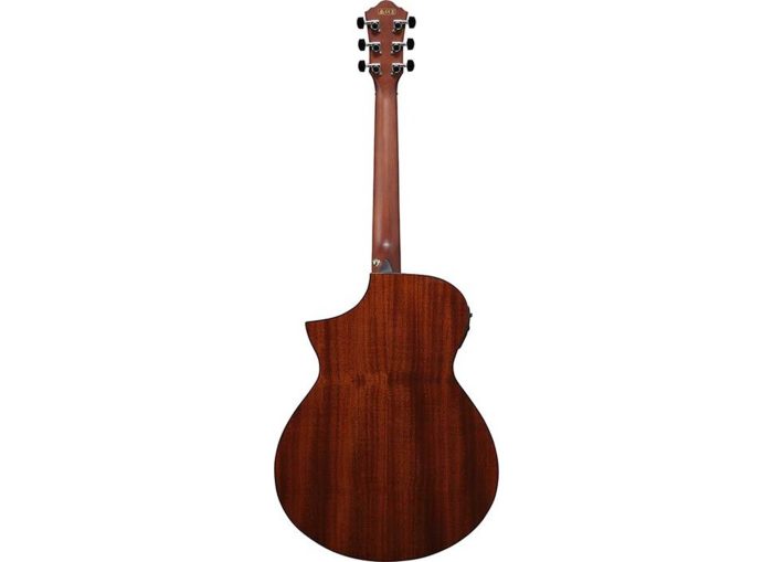Ibanez AEWC11-DVS