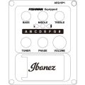 Ibanez AEWC11-DVS
