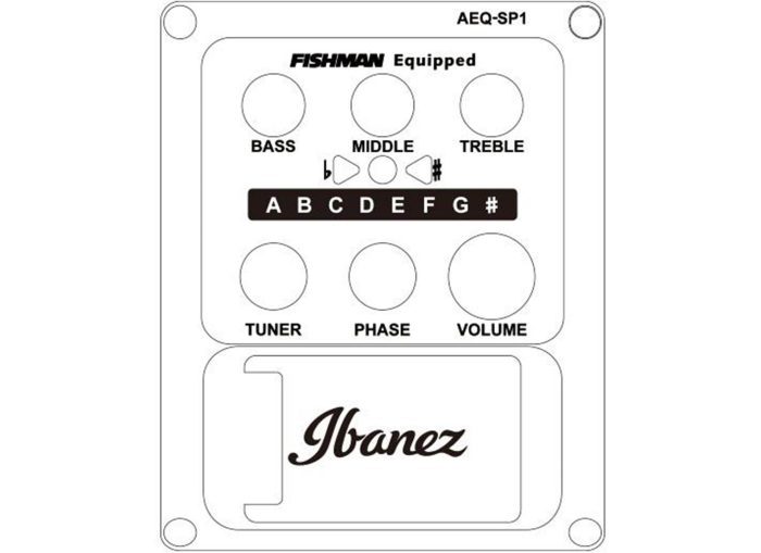 Ibanez AEWC11-DVS