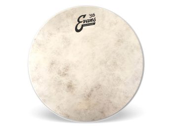 Evans 15 Tom Drumhead  Calftone