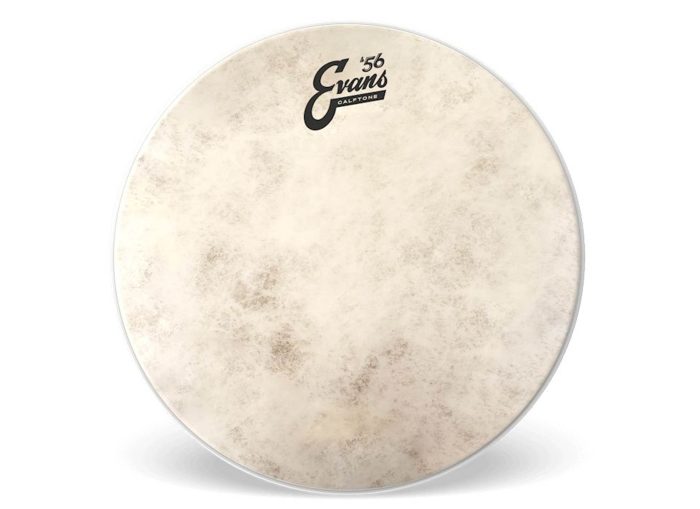 Evans 15 Tom Drumhead  Calftone