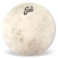 Evans 18 Tom Drumhead  Calftone