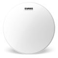 Evans BD22G1CW